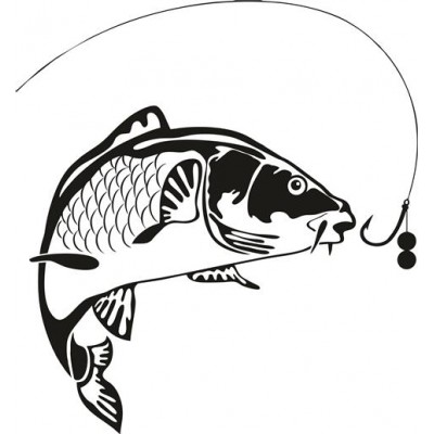 Bavlněné tričko s rybářským potiskem FISH 13 Kapr